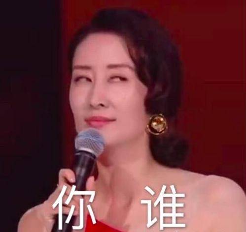 江苏卫视晚会观众都是假人 怪不得刘敏涛被吓出了表情包
